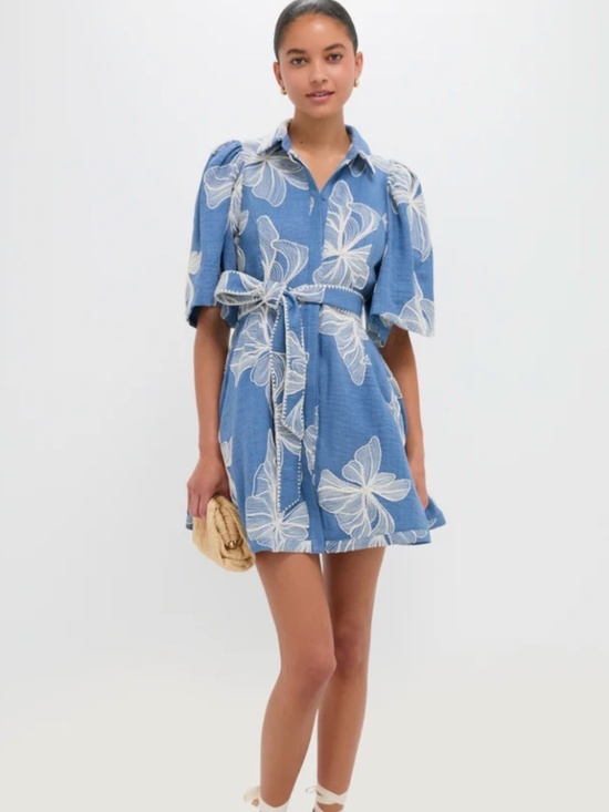 Tuckernuck Dresses & Skirts - Tuckernuck - Chambray & Ivory Embroidery Cindy Mini Dress